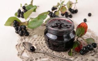 Черноплодная рябина: полезные свойства, секреты сбора и способы заготовки Что можно сделать с ягодами черноплодной рябины